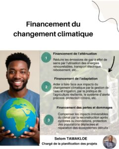 Invitons les expériences et compétences internationales à renforcer IAMDES-Togo dans ses actions pour un Togo résilient et durable