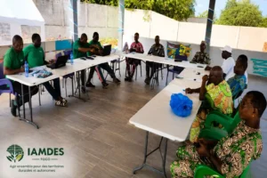 Togo : IAMDES-Togo, prône une nouvelle vision de partenariat pour le développement